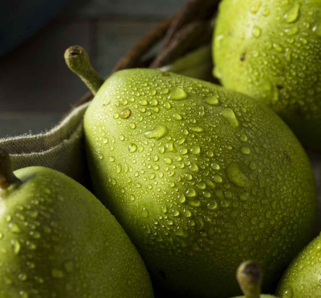 Winter Fruit Pears